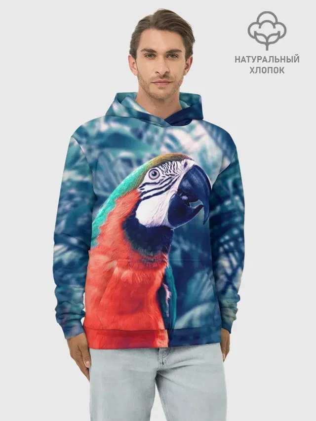 Попугай