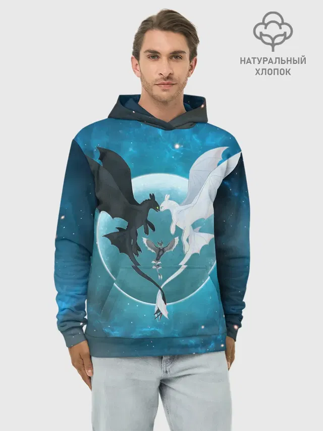 ночная фурия