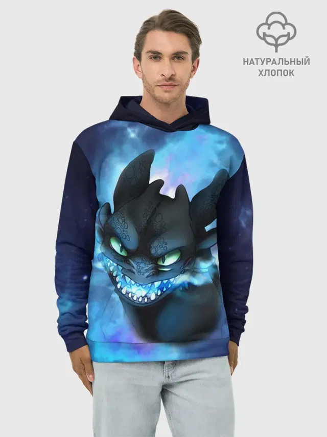 Night Fury