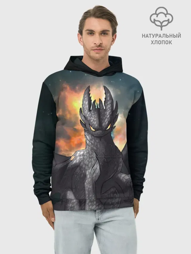 Night Fury