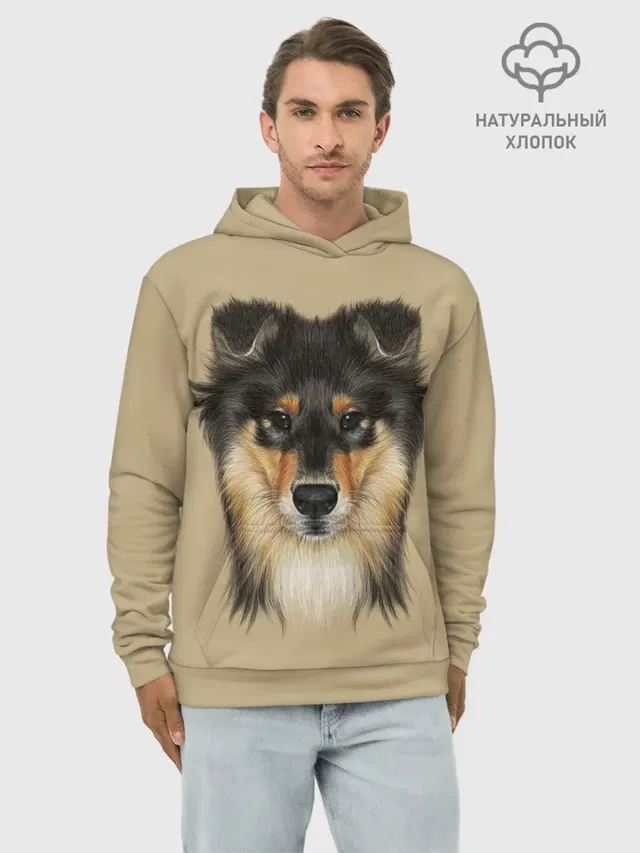 Sheltie