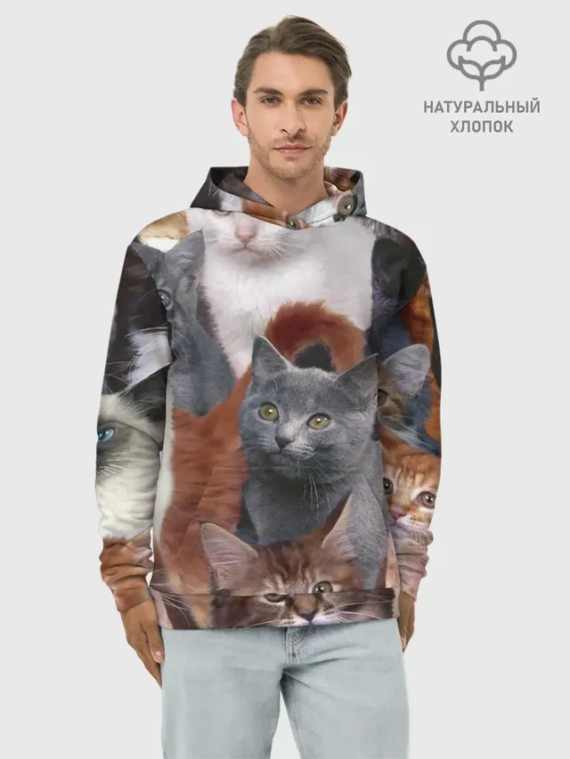 Много котов