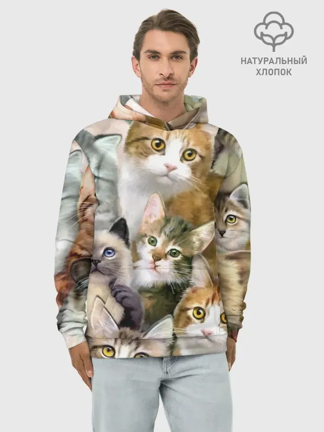 Котишики