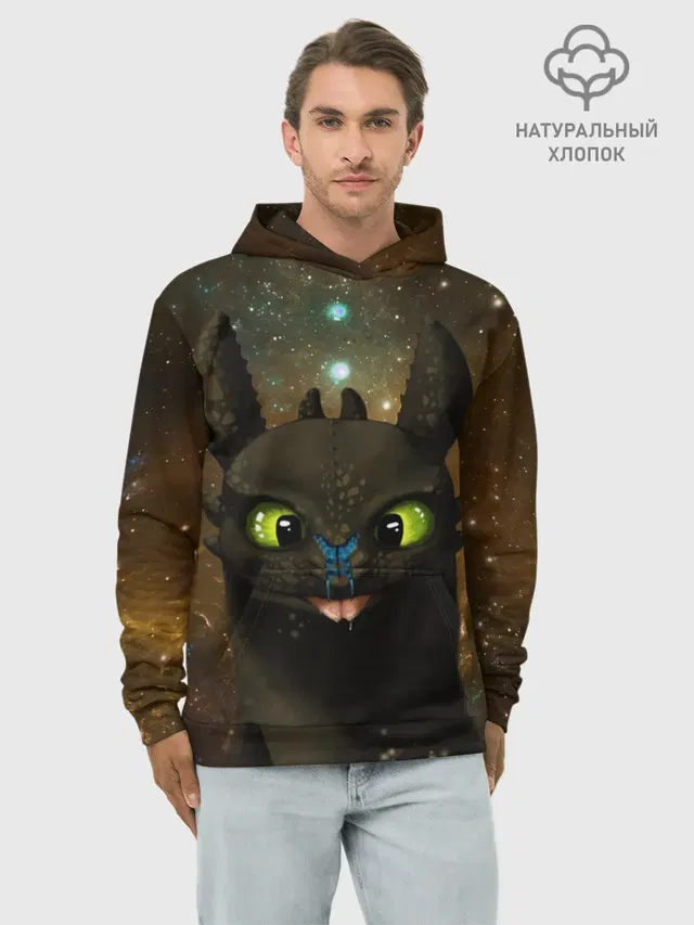 Night Fury