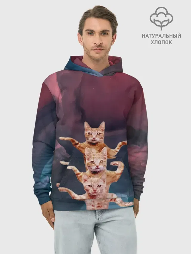Танцующие коты