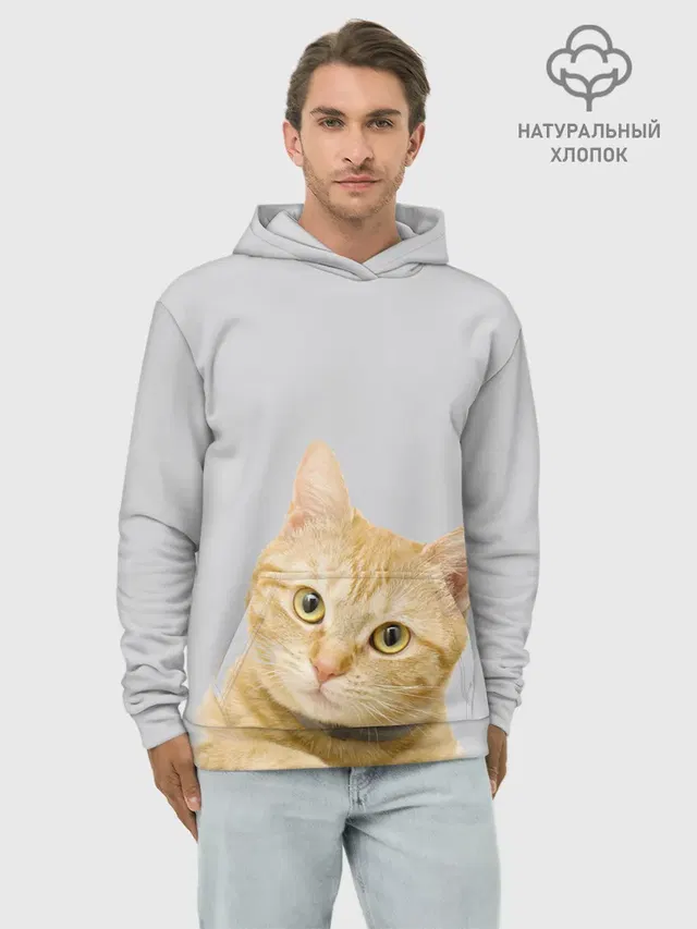 Рыжий котик