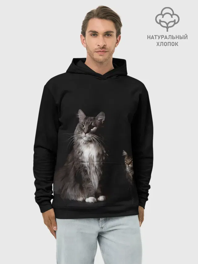Котики