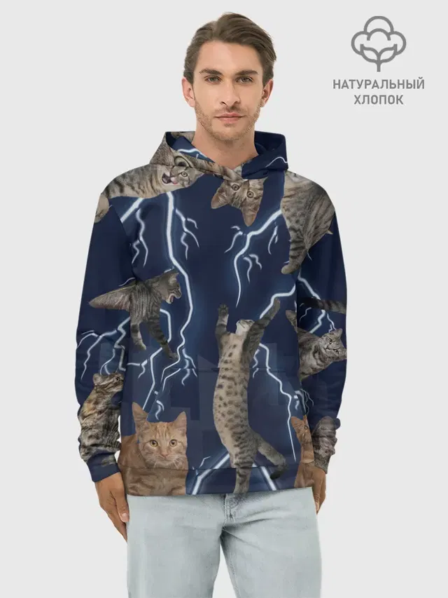 Коты