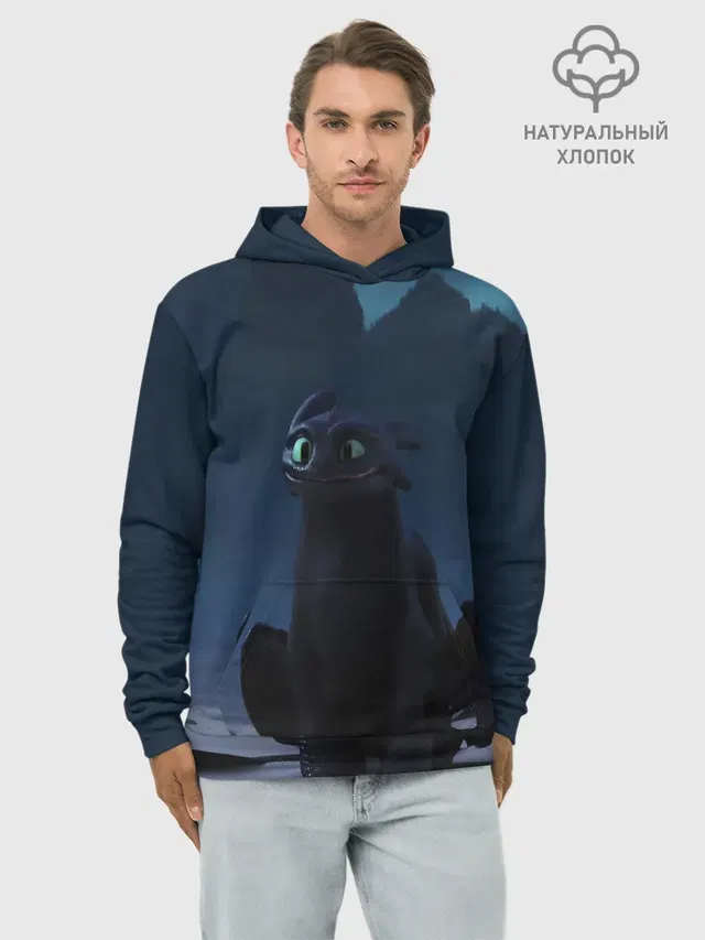 Беззубик:Ночная Фурия