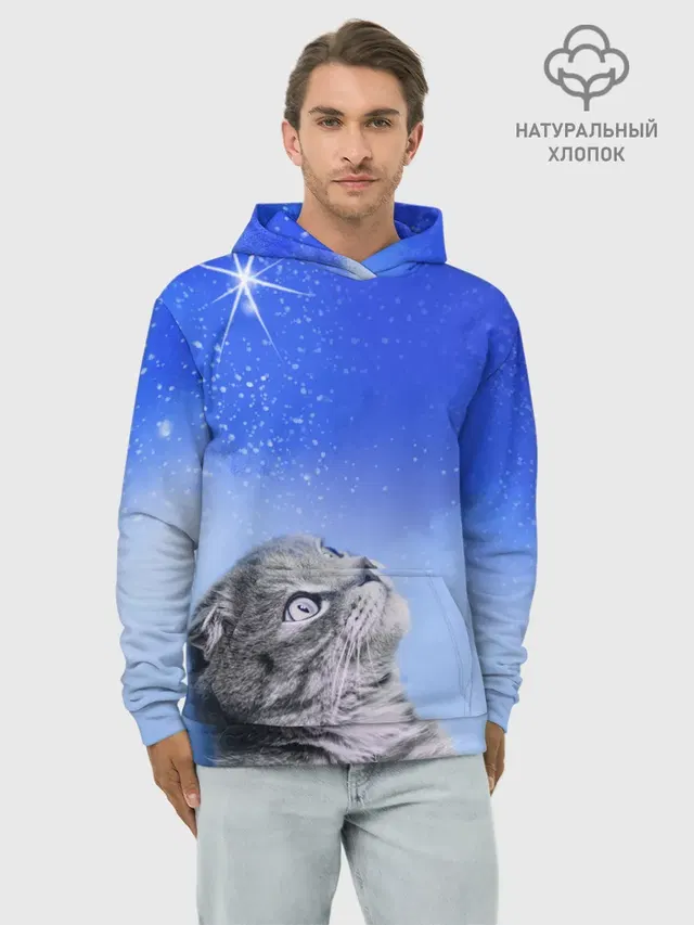 Кот и космос