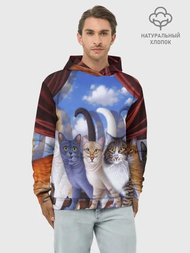 Коты