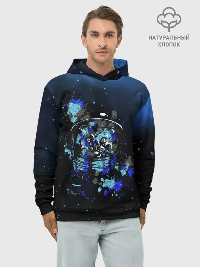 Космический кот