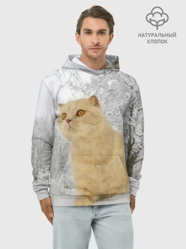 Кот и снег