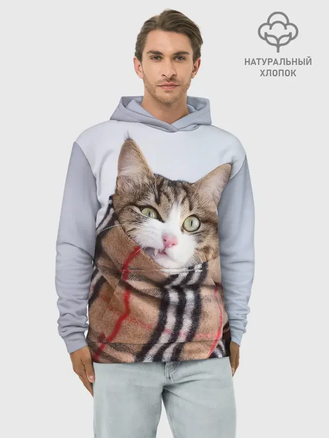 Кот в шарфе
