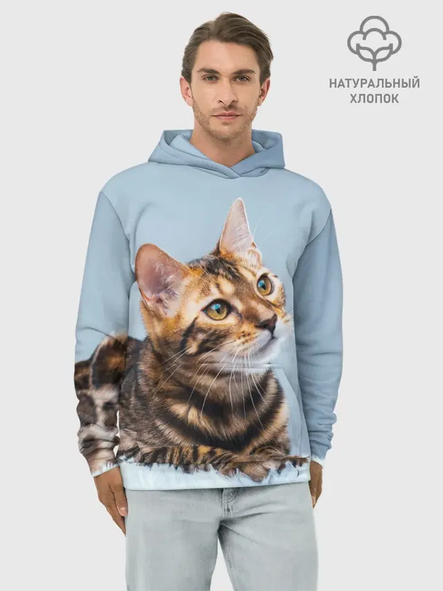 Бенгальский кот