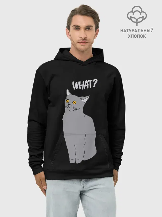 What cat
