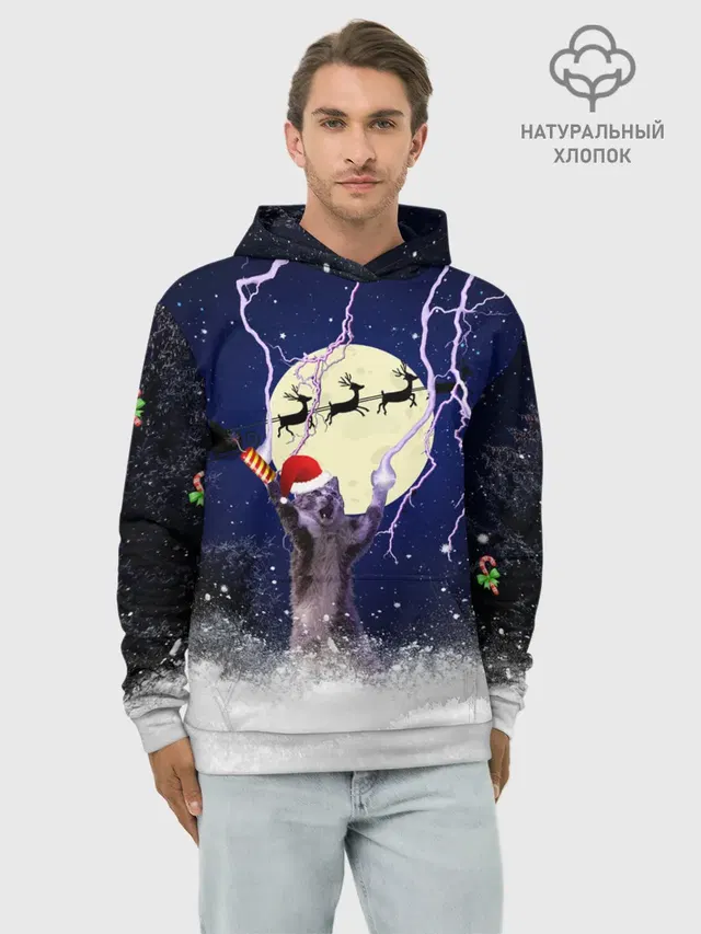 Новогодний Кот