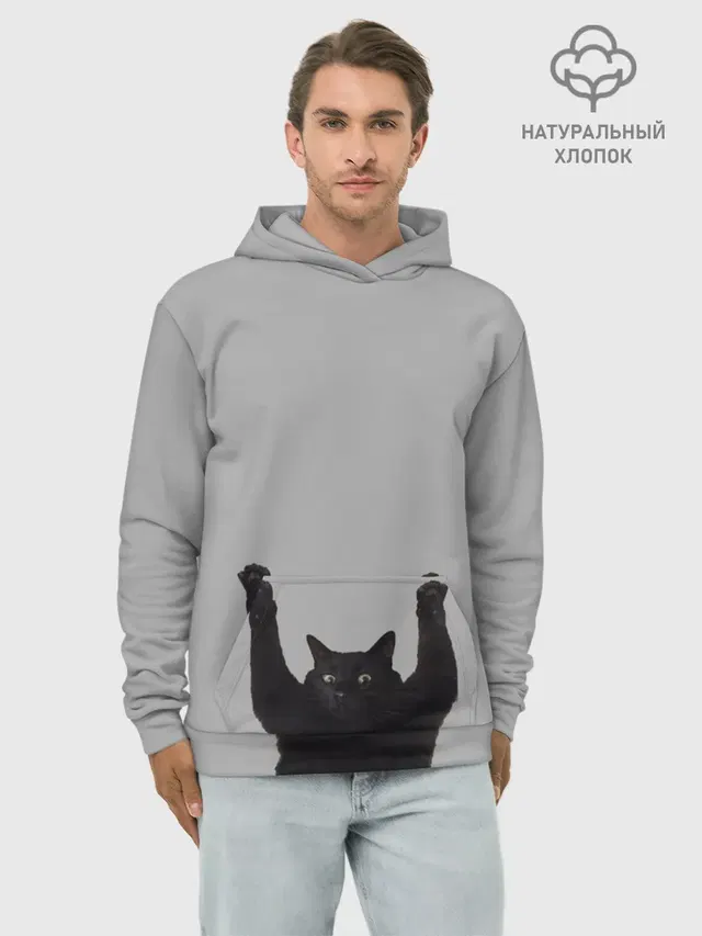 Кот сдается