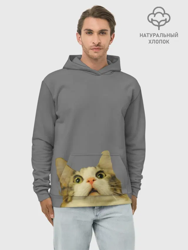 Коте смотрит вверх