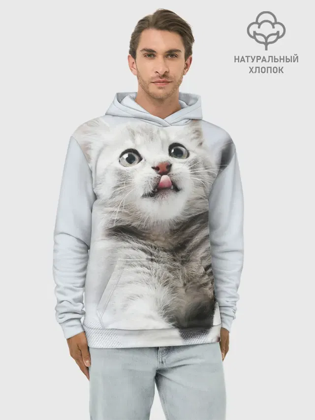 серый котенок