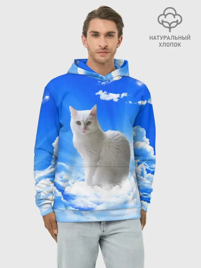 Кот в облаках
