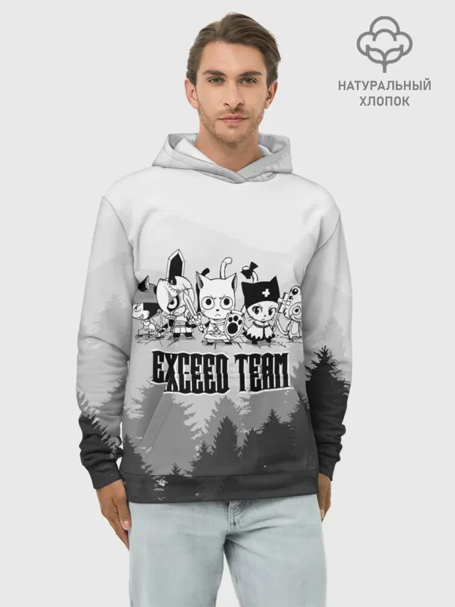 Худи мужской базовый хлопок с принтом «Хвост Феи — Exceed Team»