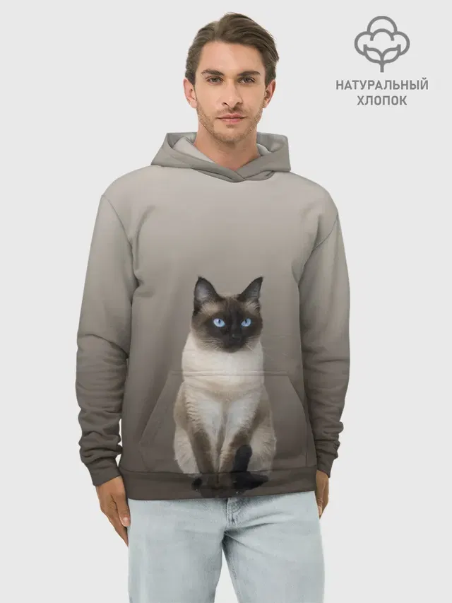 Сиамский кот голубые глаза
