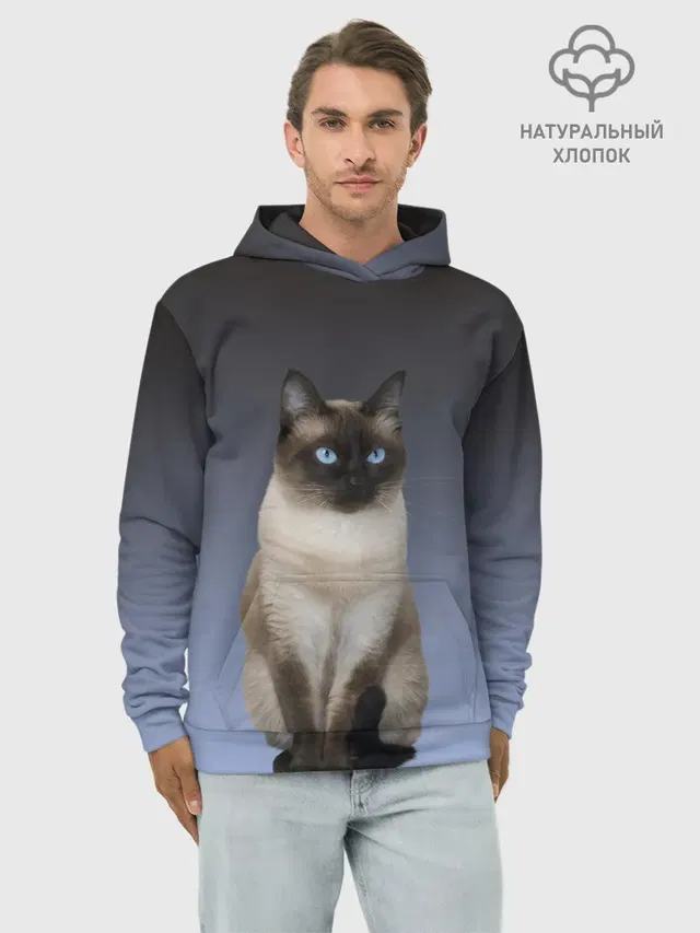 сиамская милая кошечка
