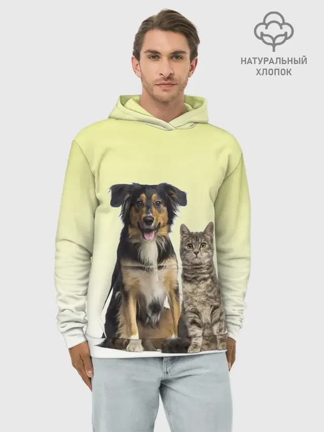 кошка и собака друзья