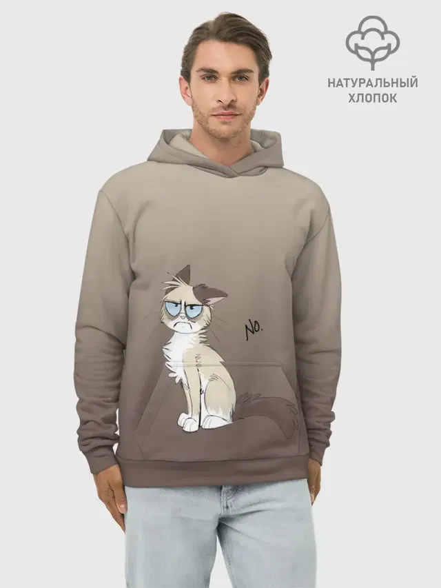 сварливый кот мем нет