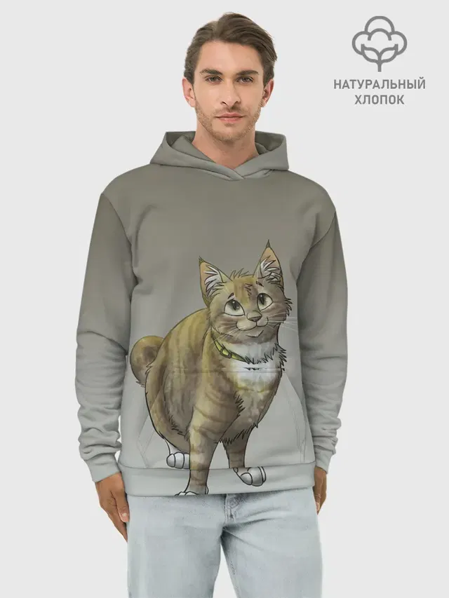 полосатый уличный кот
