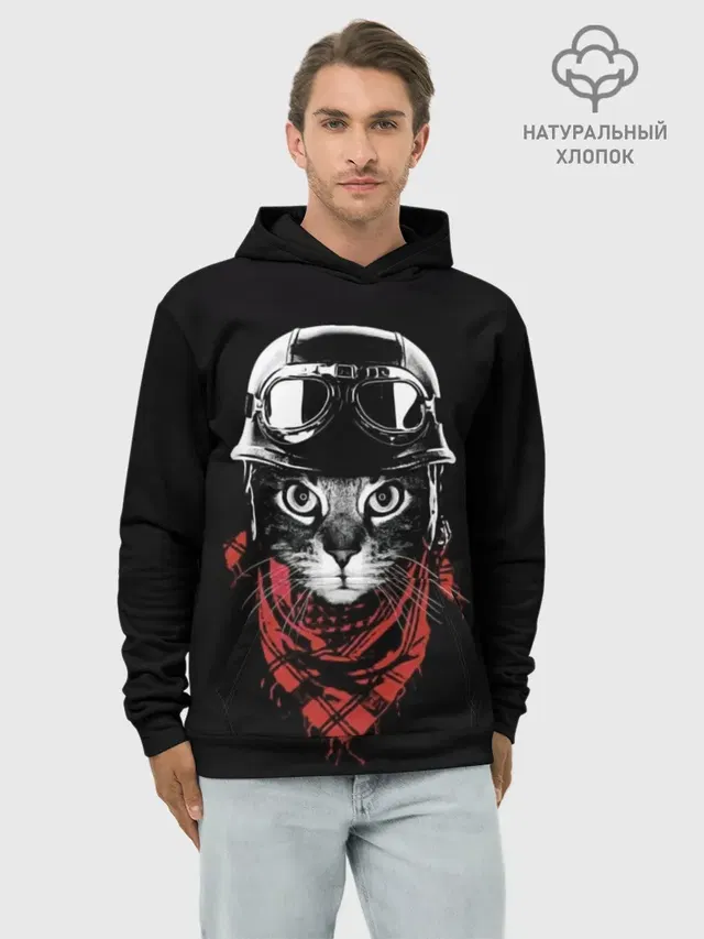 Кот в каске