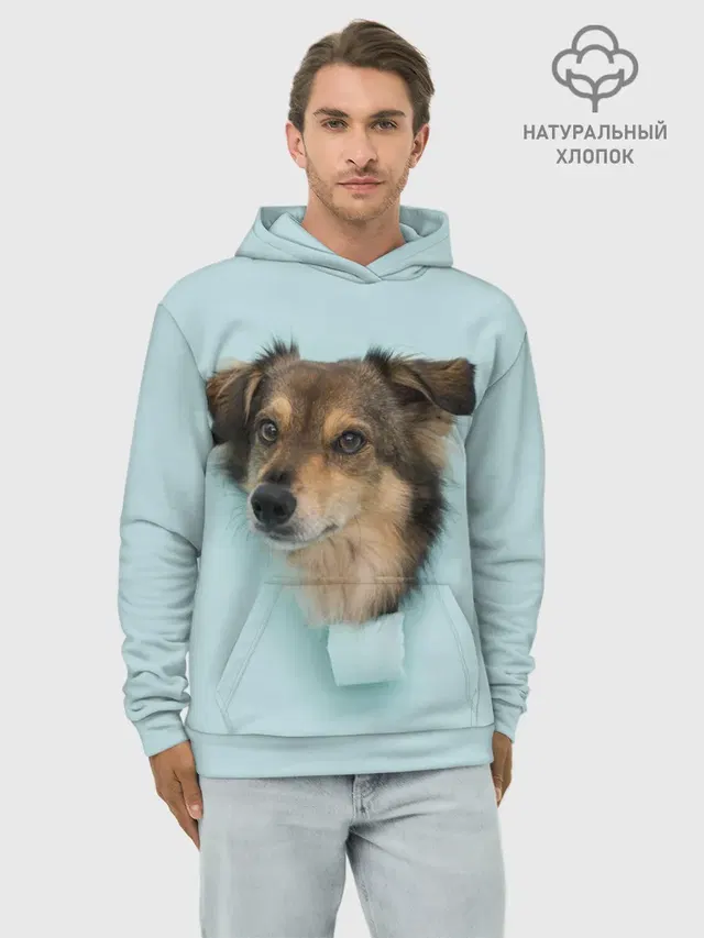 Беспородная Собака дворняга / A Dog