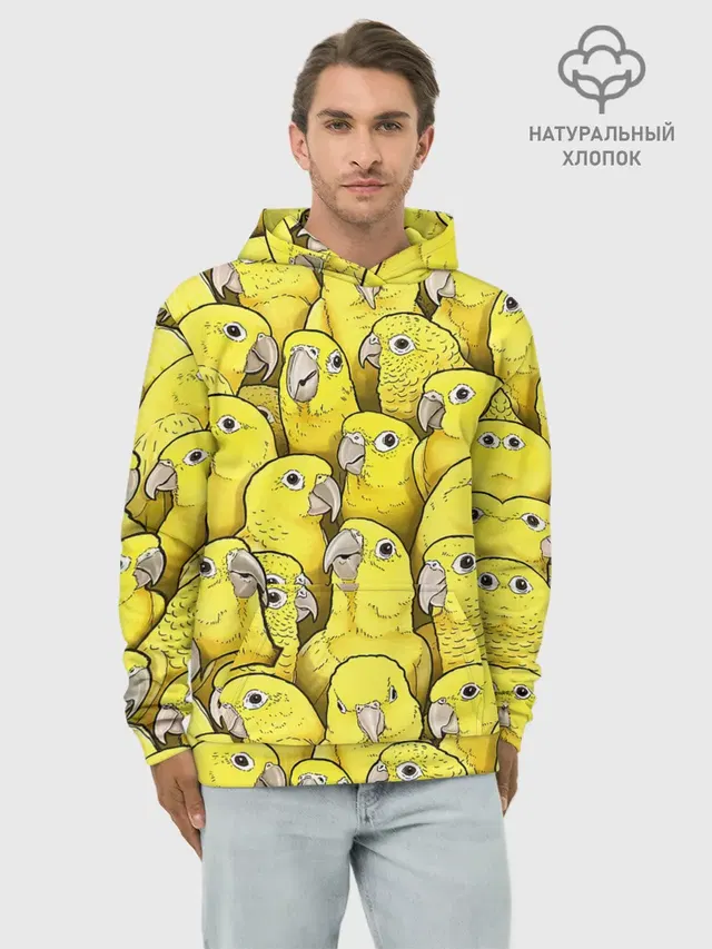 Попугаи