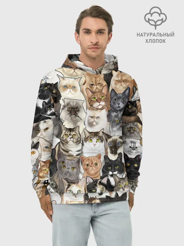 Котики смешные