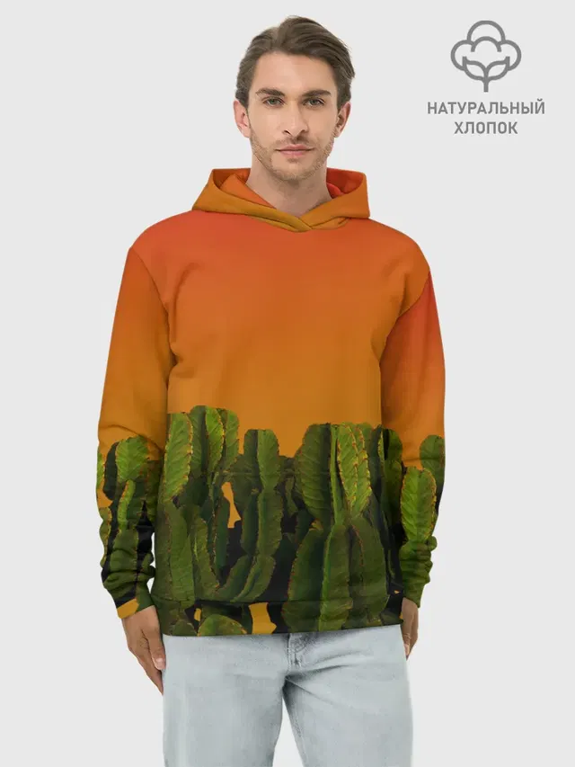 Кактусы на закате