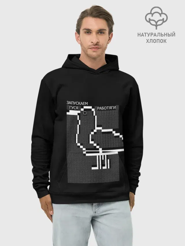 Запускаем гуся