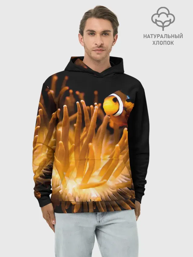 Клоуны в актинии