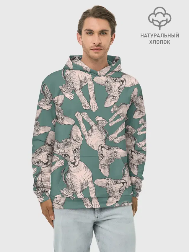 Котёнок сфинкса