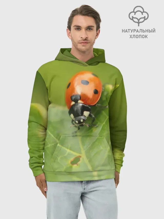 Божья коровка