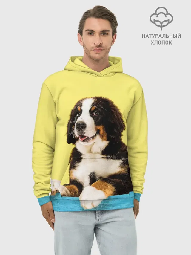 Бернский зенненхунд, Berner Sennenhund