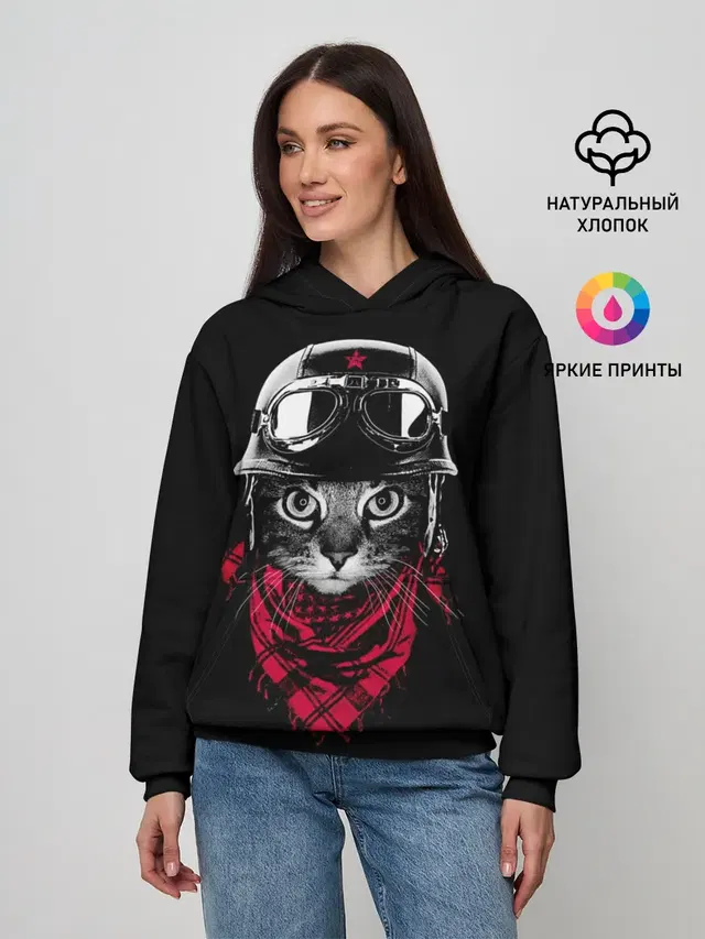 Кот Пилот