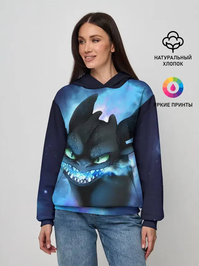 Night Fury