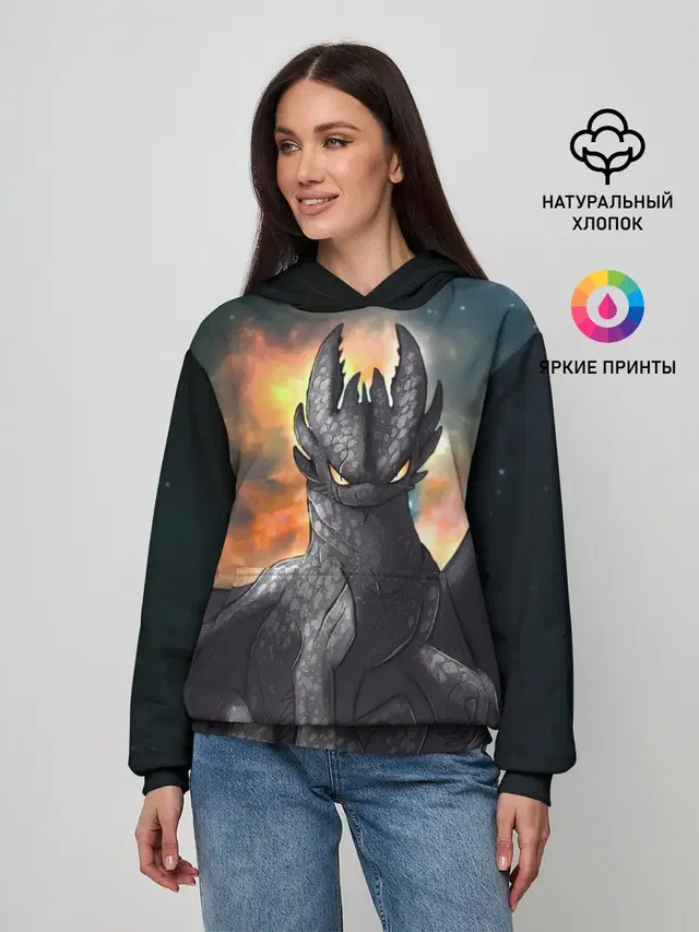 Night Fury