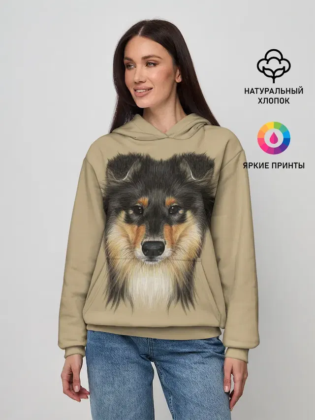 Sheltie