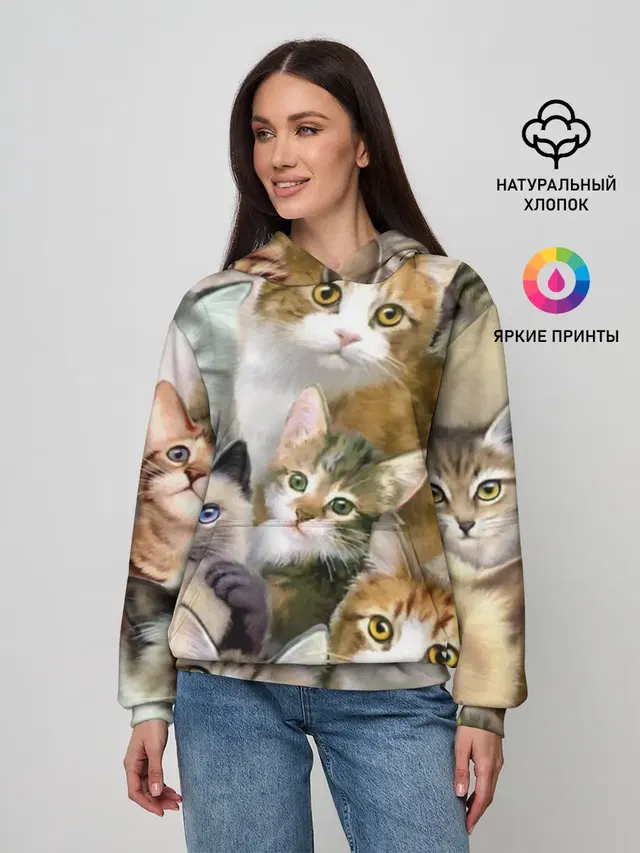 Котишики
