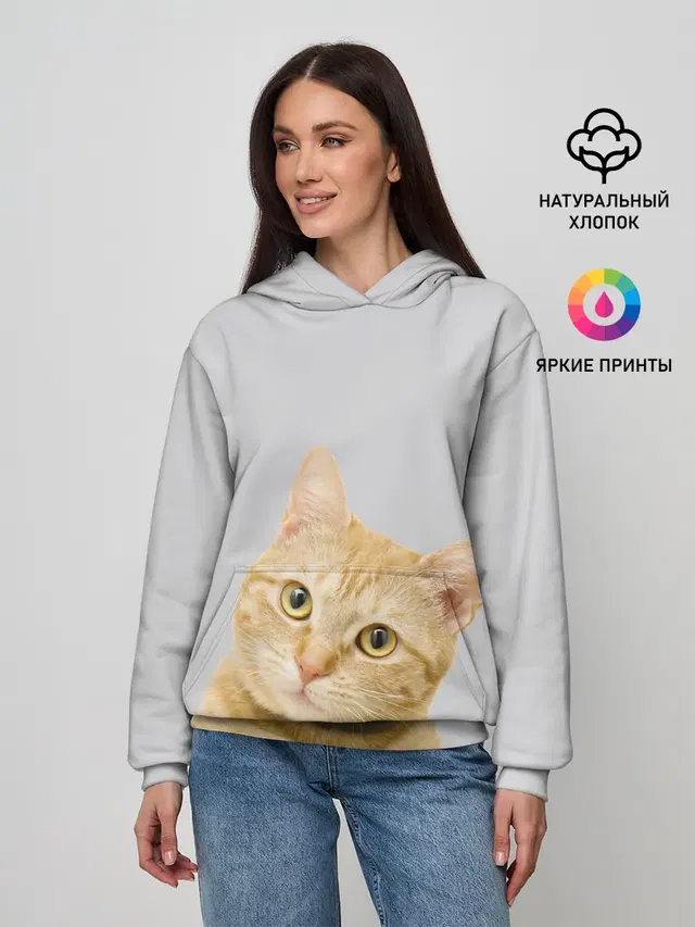 Рыжий котик