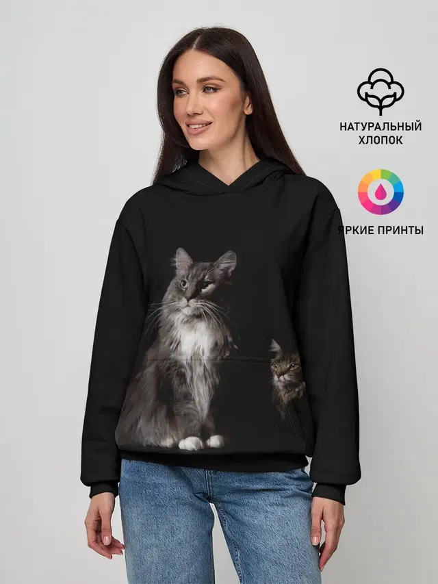 Котики
