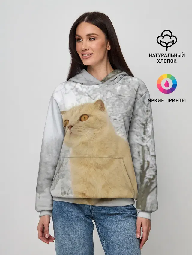 Кот и снег
