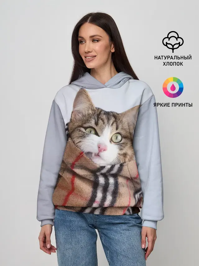 Кот в шарфе